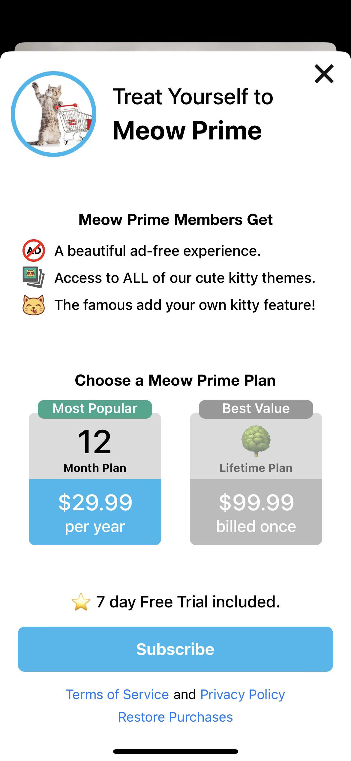 Weather Kitty app subscription paywall